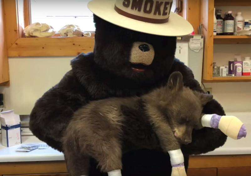 Original smokey the bear stuffed animal hotsell