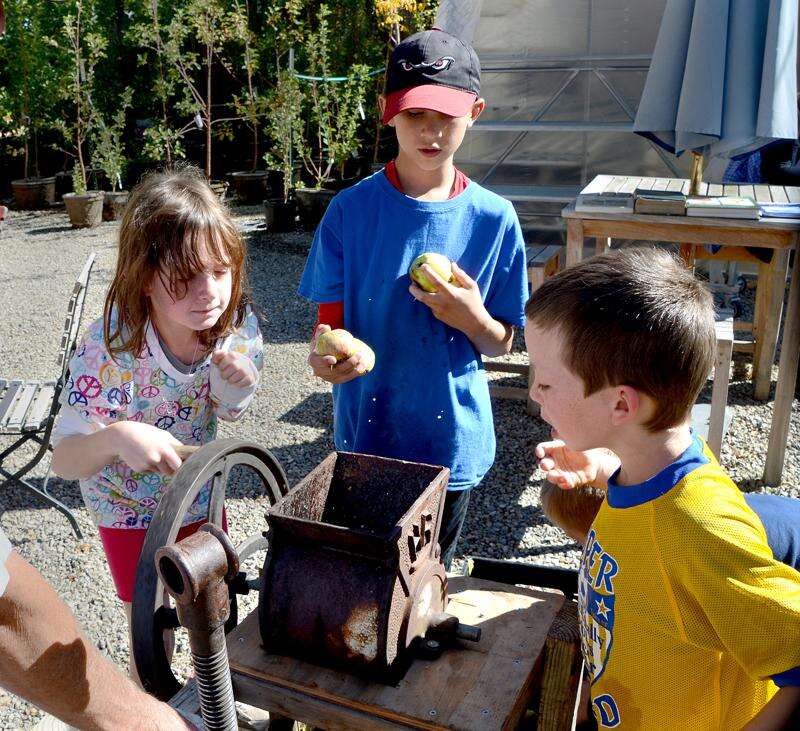Sampling local fruit The Journal