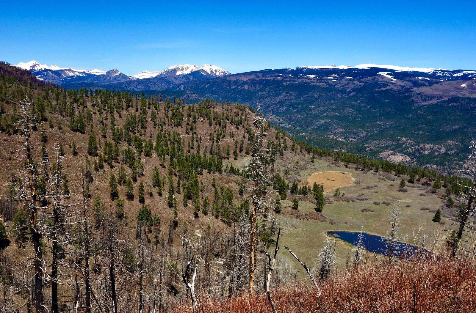 Top 10 Summer Hikes in Durango