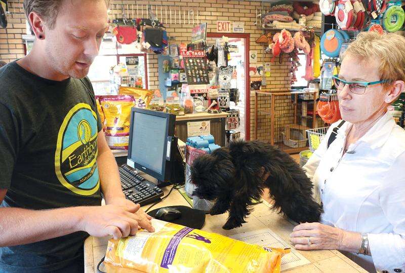Pet shops hotsell near here