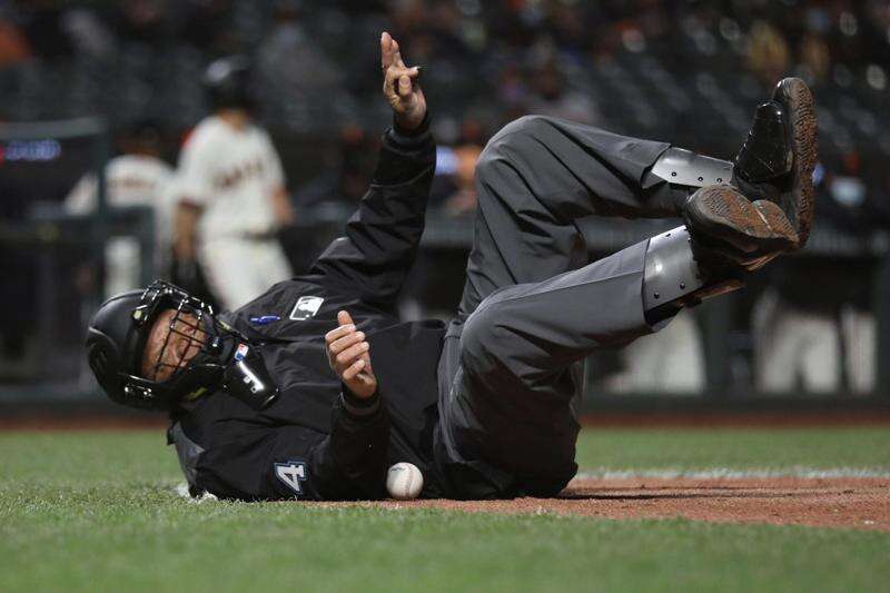 Meet the new home plate umpire at Smith's Ballpark. It's quietly all around  you