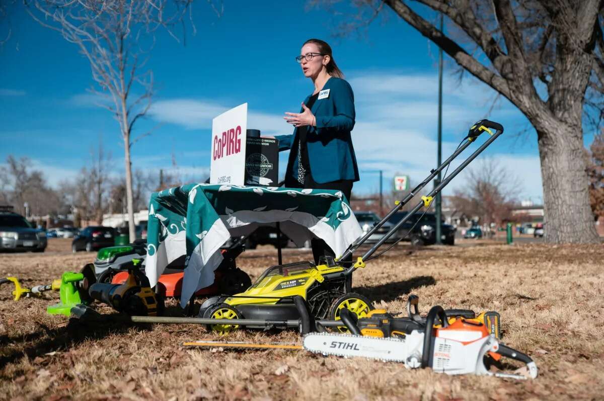Gas lawn mower sale discount