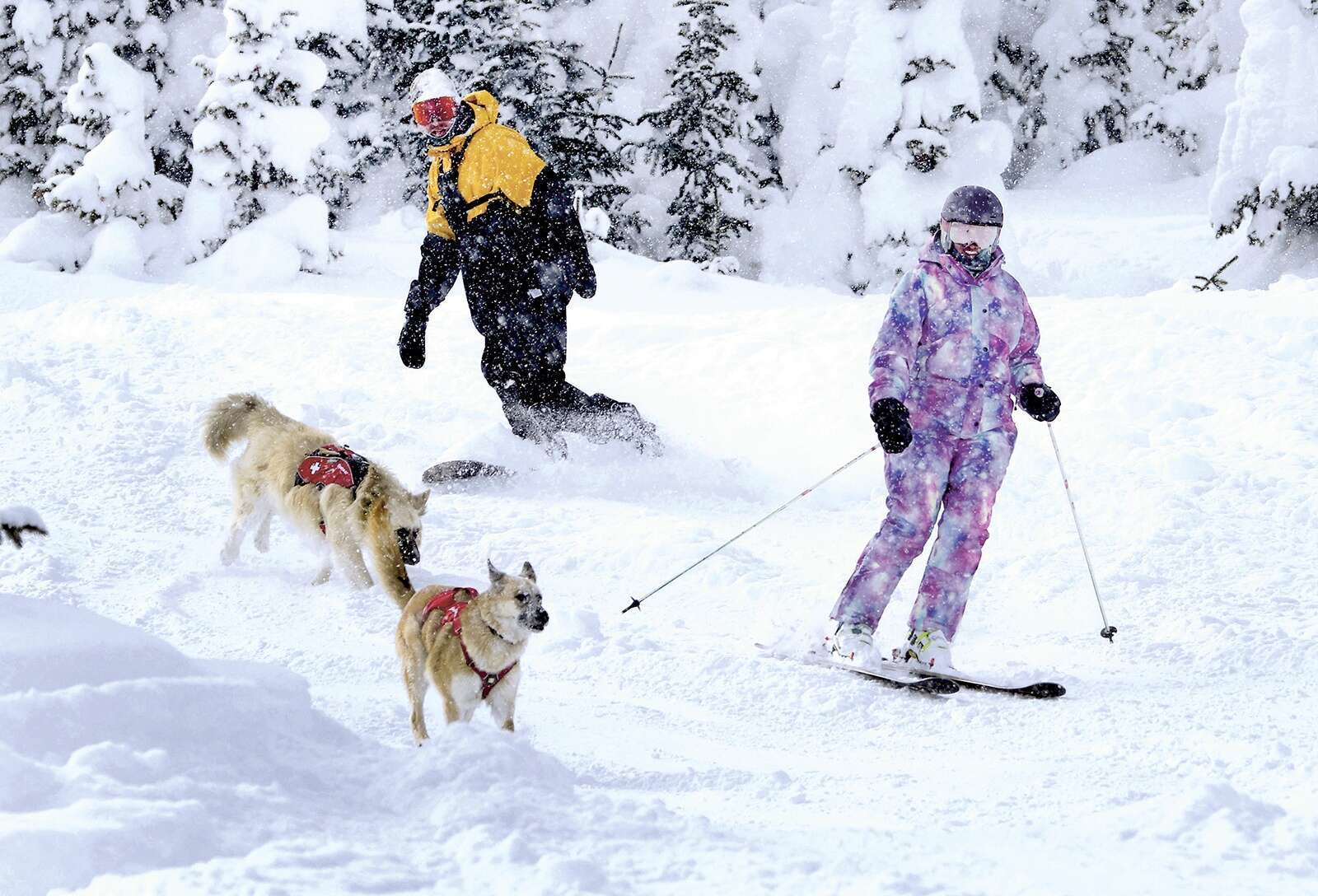 What does independence offer Wolf Creek Ski Area? – The Durango Herald