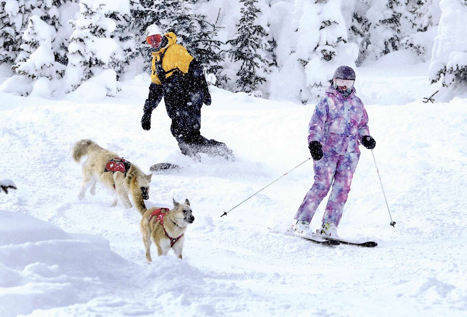 Wolf Creek Ski Area - Tech Ski and Snowboard