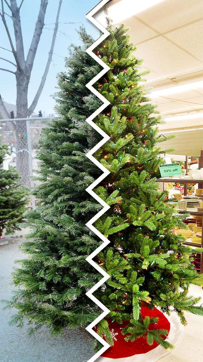 False tree hot sale