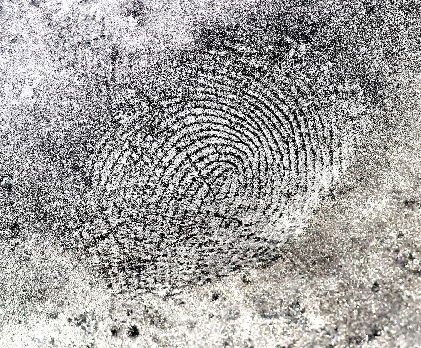 crime scene fingerprints