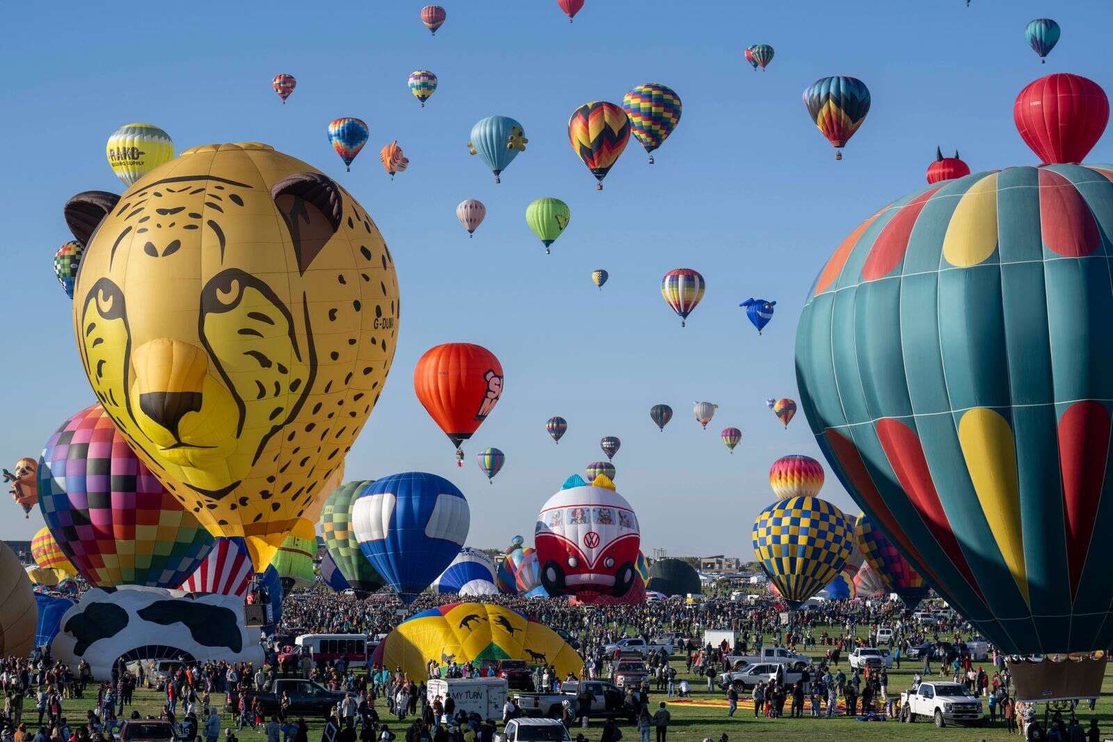 Albuquerque hot new arrivals air balloon