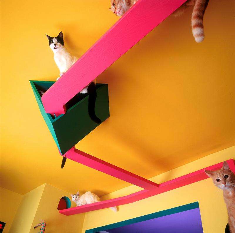 Cat ramps 2024 in house