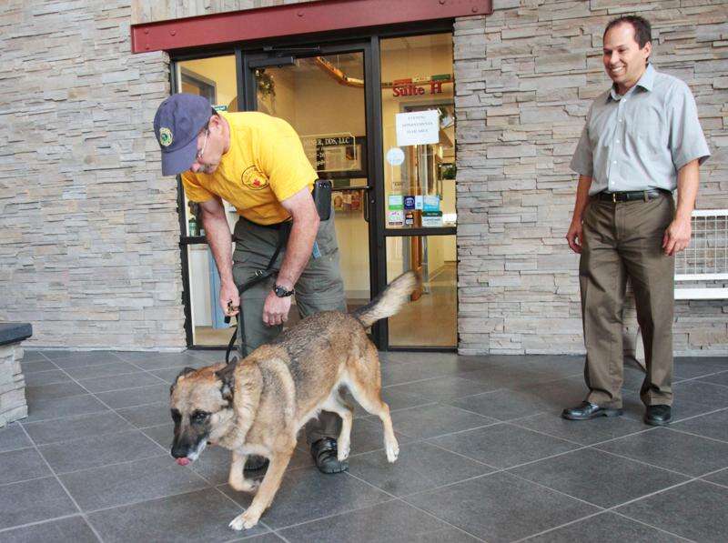 how are cadaver dogs trained