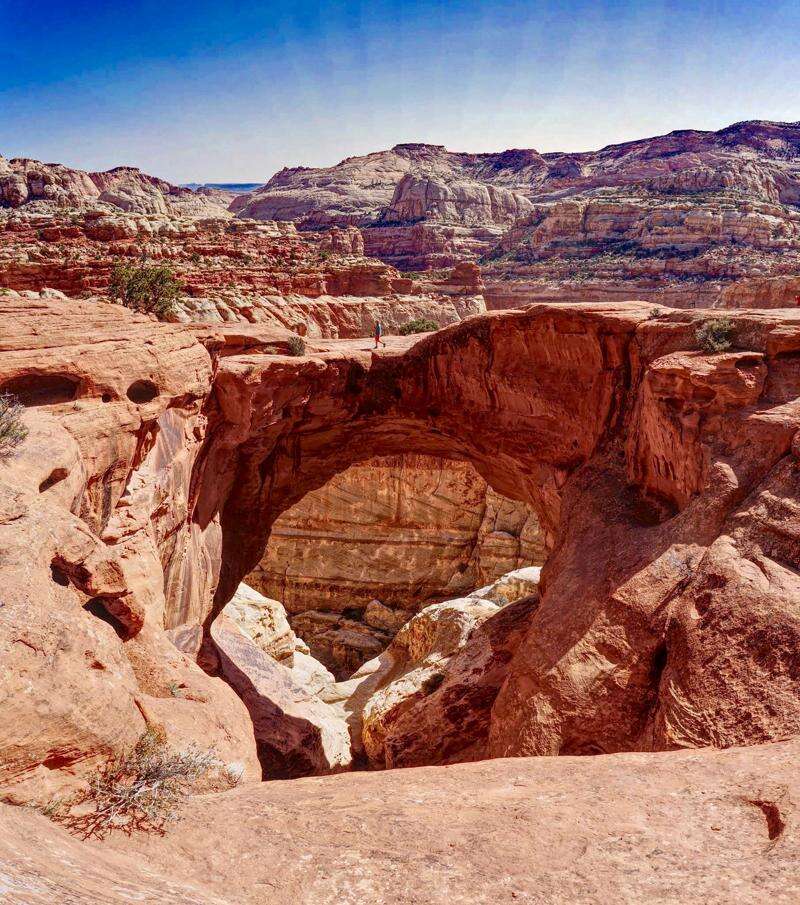 Cassidy arch capitol reef clearance
