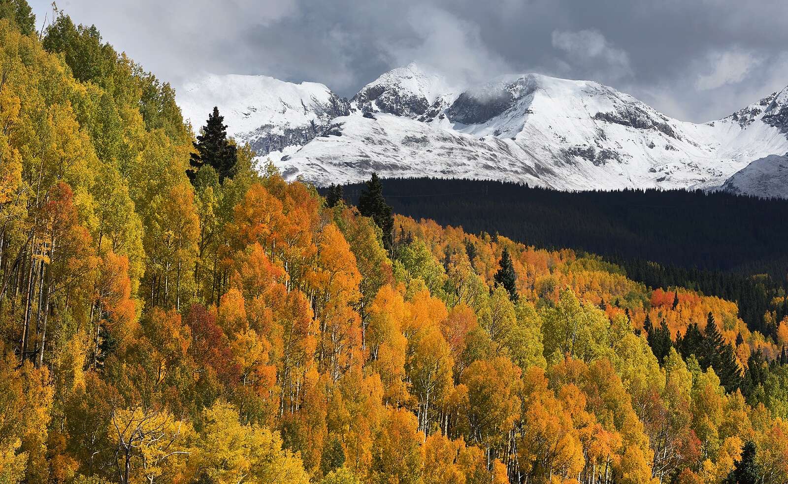 colorado fall colors 2022