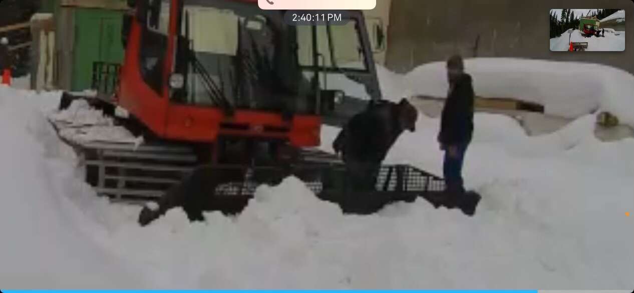 Attempted theft charges dropped in Silverton snowcat case The Durango