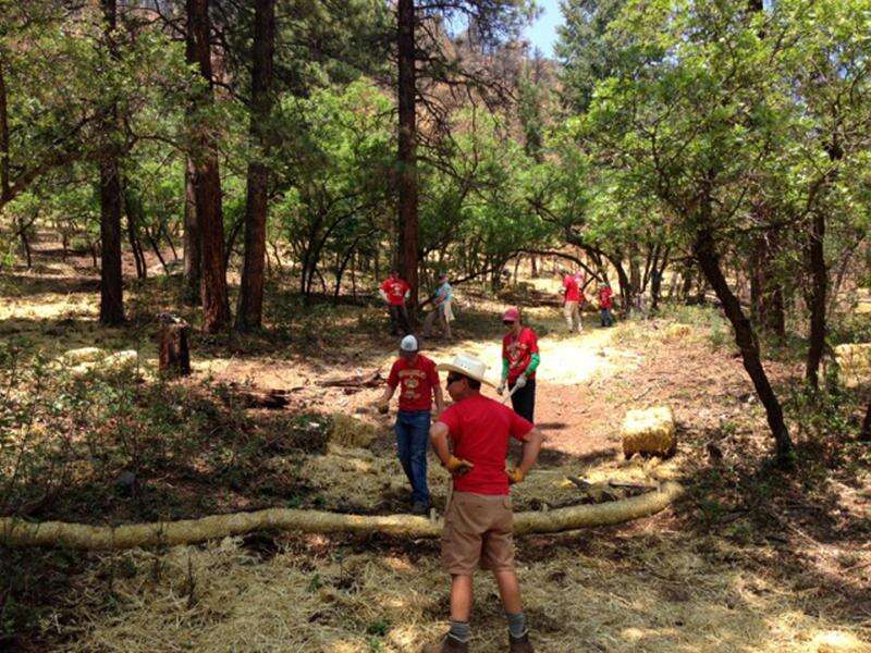 Battle between Cubs, rooftops heating up – The Durango Herald