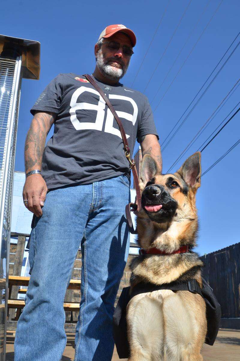 Veteran k9 training cheap