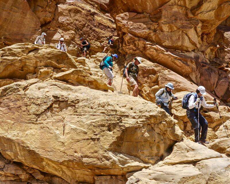 Zion national park chacos shop