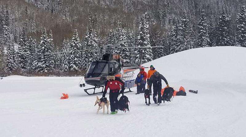 Skier searches for dog after Colorado avalanche