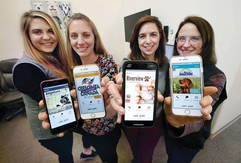 Angelcare veterinary hospital store