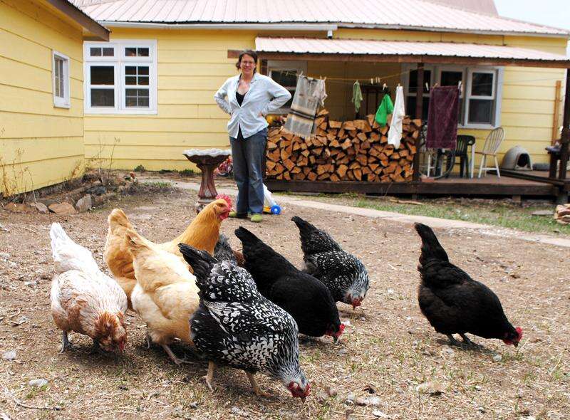 How to Build a Colorado Chicken Coop