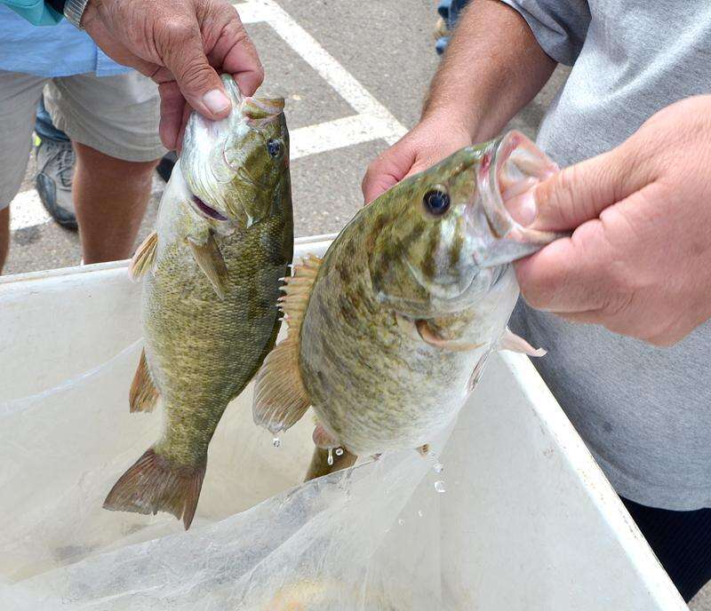 Big fish, small boats - Bassmaster