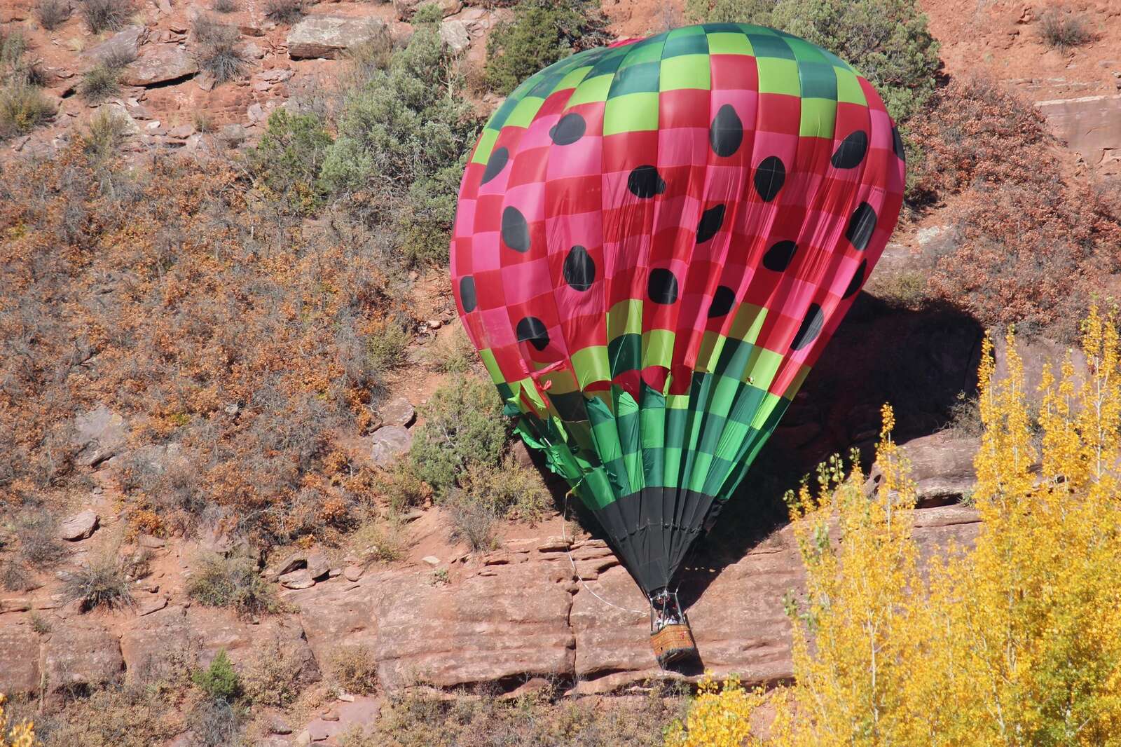 Hot air balloon north on sale west