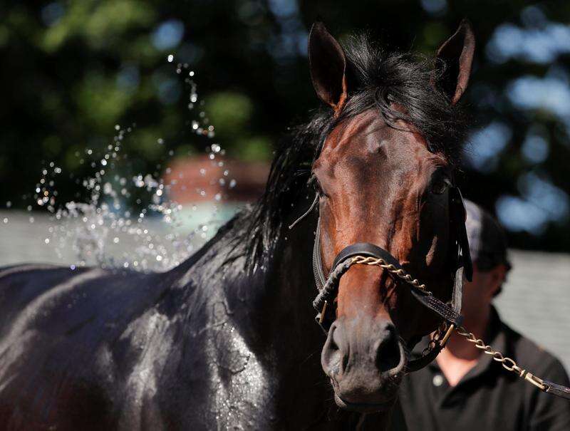 Justify draws the rail for Triple Crown finale at Belmont Stakes – The  Durango Herald