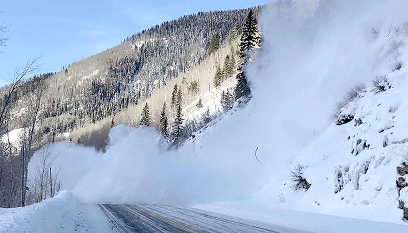 Colorado Avalanche - Go have yourselves a season, Colorado Rockies 👊