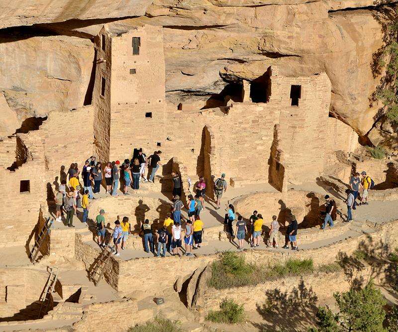 are dogs allowed in mesa verde national park