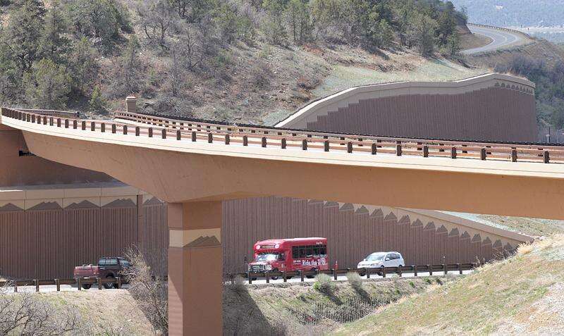 are dogs allowed in the bridge to nowhere