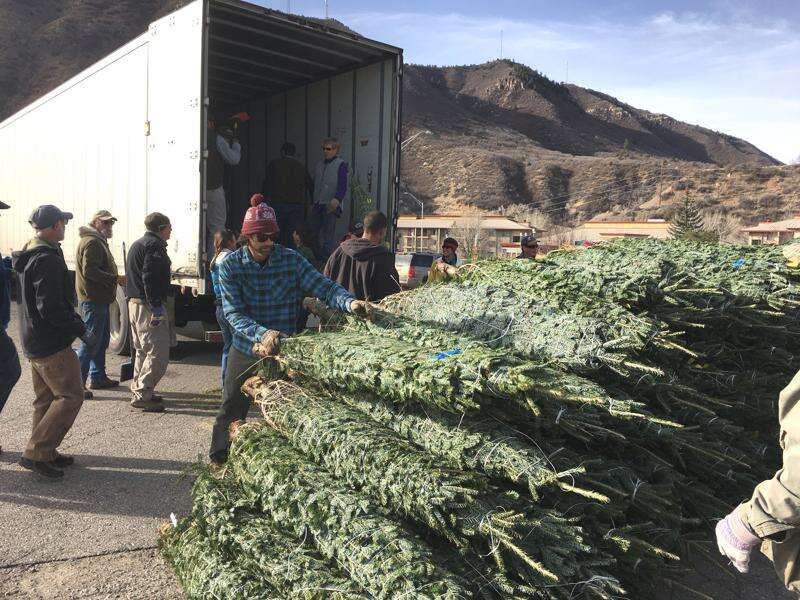 $22 million worth of trees are coming to Colorado – The Durango Herald