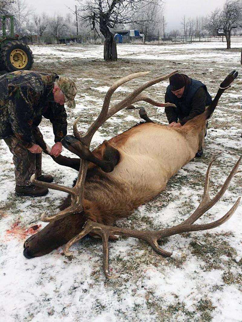 Western trophy clearance
