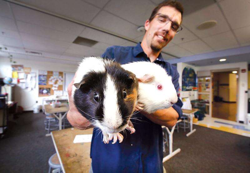 Classroom Pets Expelled From Durango Schools – The Durango Herald