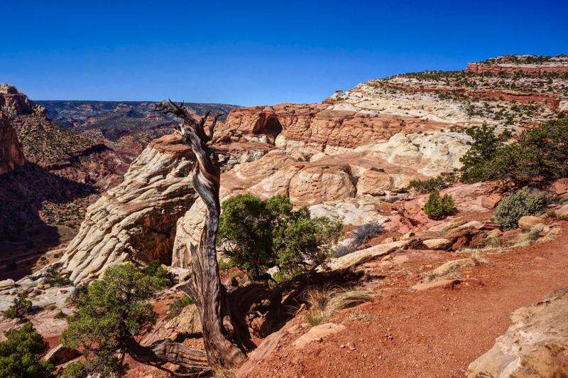 A tour of Capitol Reef s Grand Wash in Utah The Durango Herald