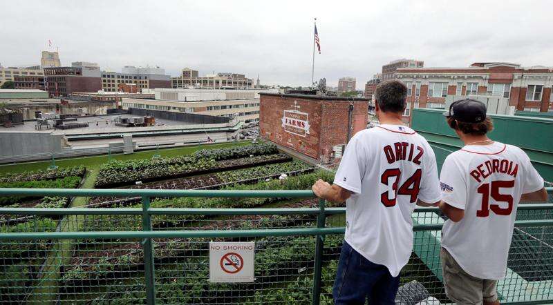 Fenway Park — Stadium Chef Series