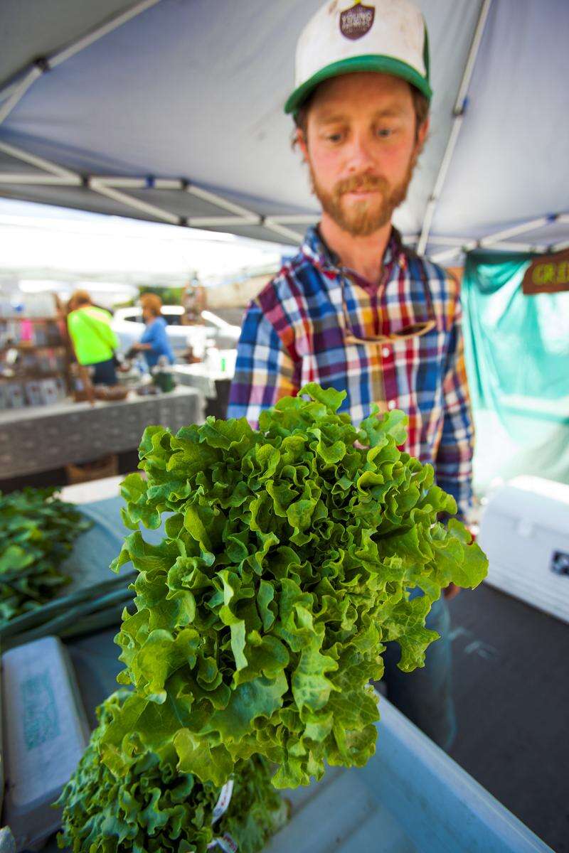 Farmers Market Find: Green Garlic - West of the Loop