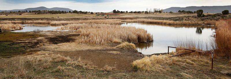 Ducks Unlimited Partners With California Watchable Wildlife