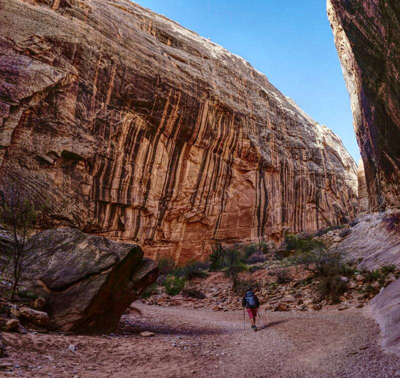 Grand wash hike capitol reef online