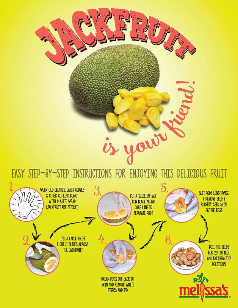 Fresh, Jackfruit — Melissas Produce