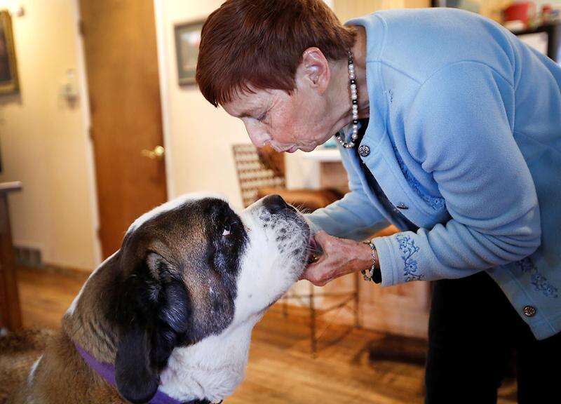 Getting furry support: Louisville woman gets diabetic service dog, Community