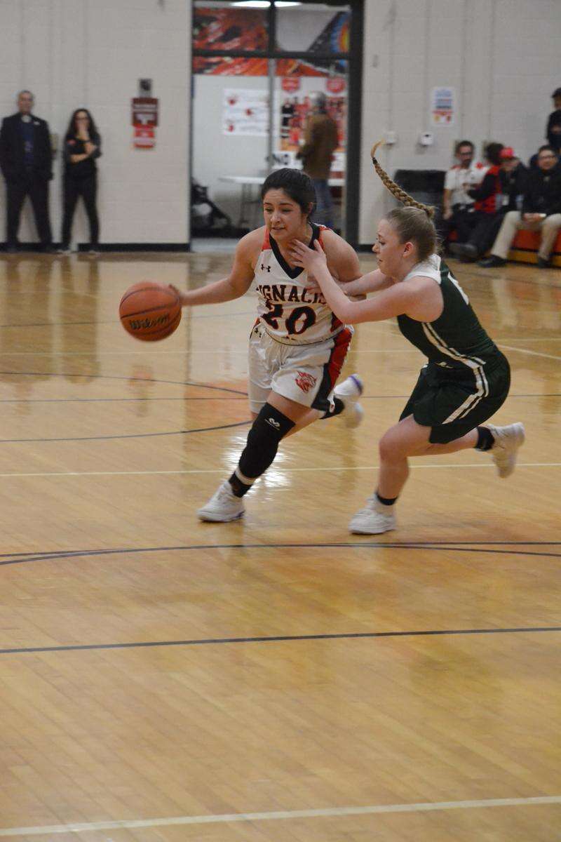 Basket scholl charlize sales