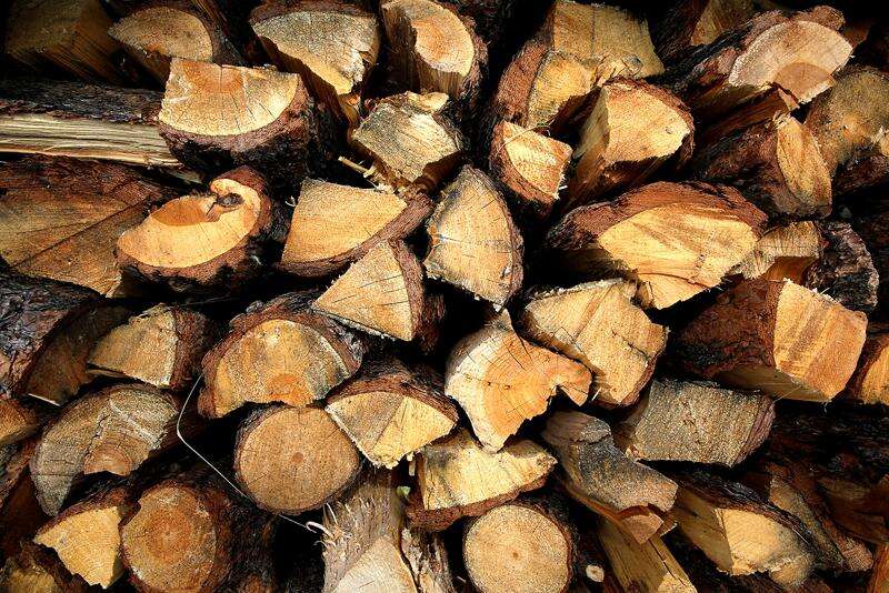 Learn to Cut Firewood: Confessions of a Homestead Woodcutter