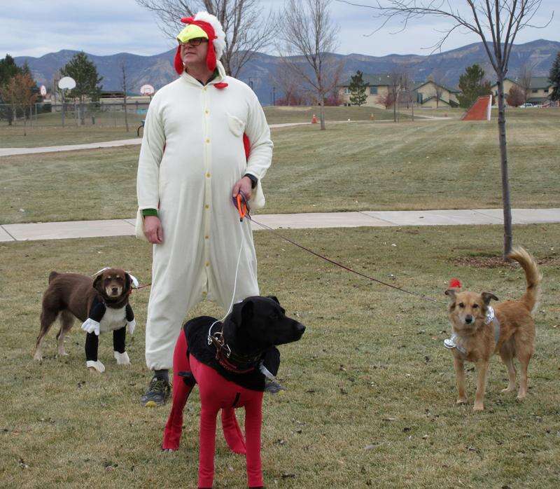 Dogs dressed up top for thanksgiving