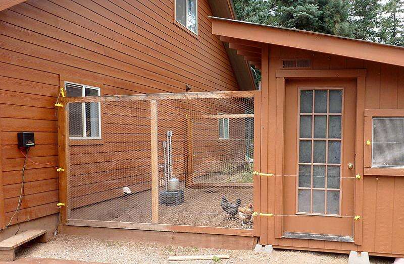 Fencing for clearance chicken runs