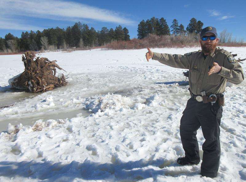Colorado Parks and Wildlife puts pine stumps to work as fish
