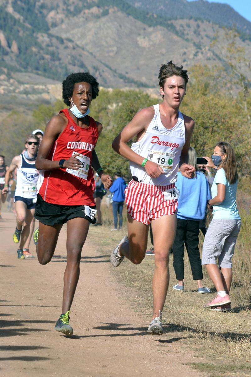 Cross country championships: 'This is proper running', Running