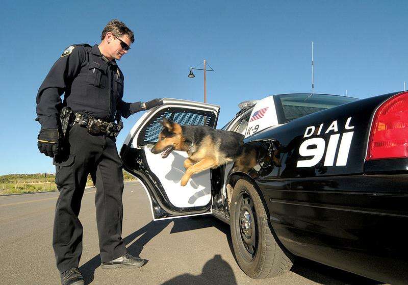 Police dogs in action cheap