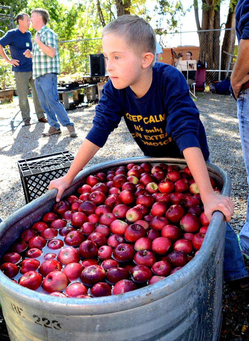 MacIntosh Red – Montezuma Orchard Restoration Project