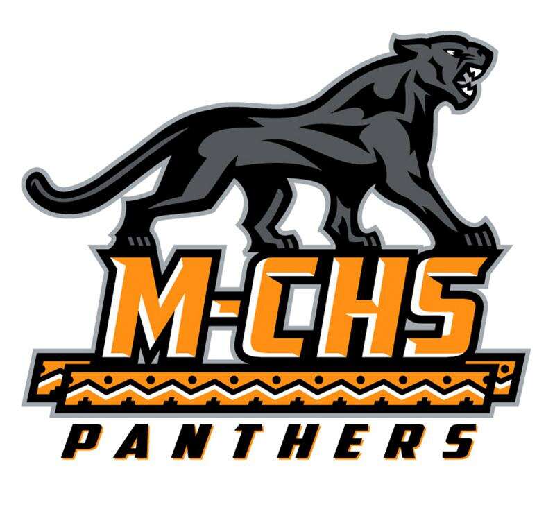 panther school logo