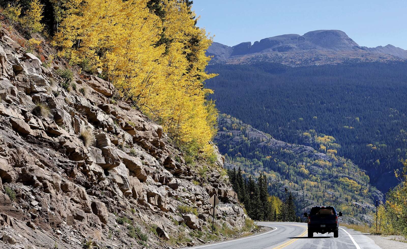 $22 million worth of trees are coming to Colorado – The Durango Herald