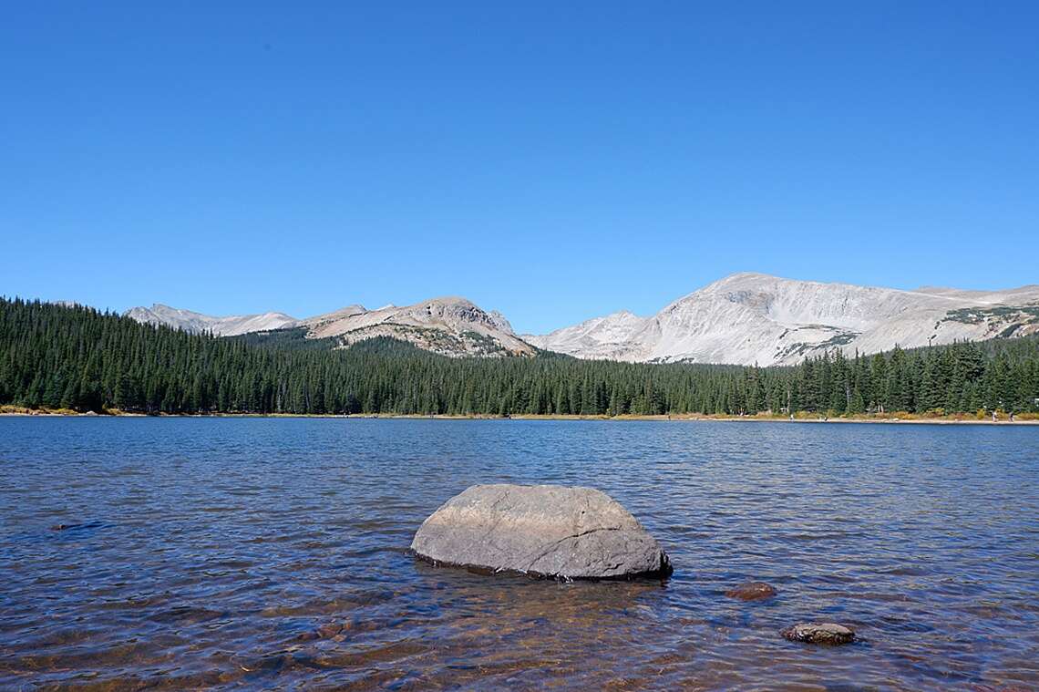 roosevelt national forest