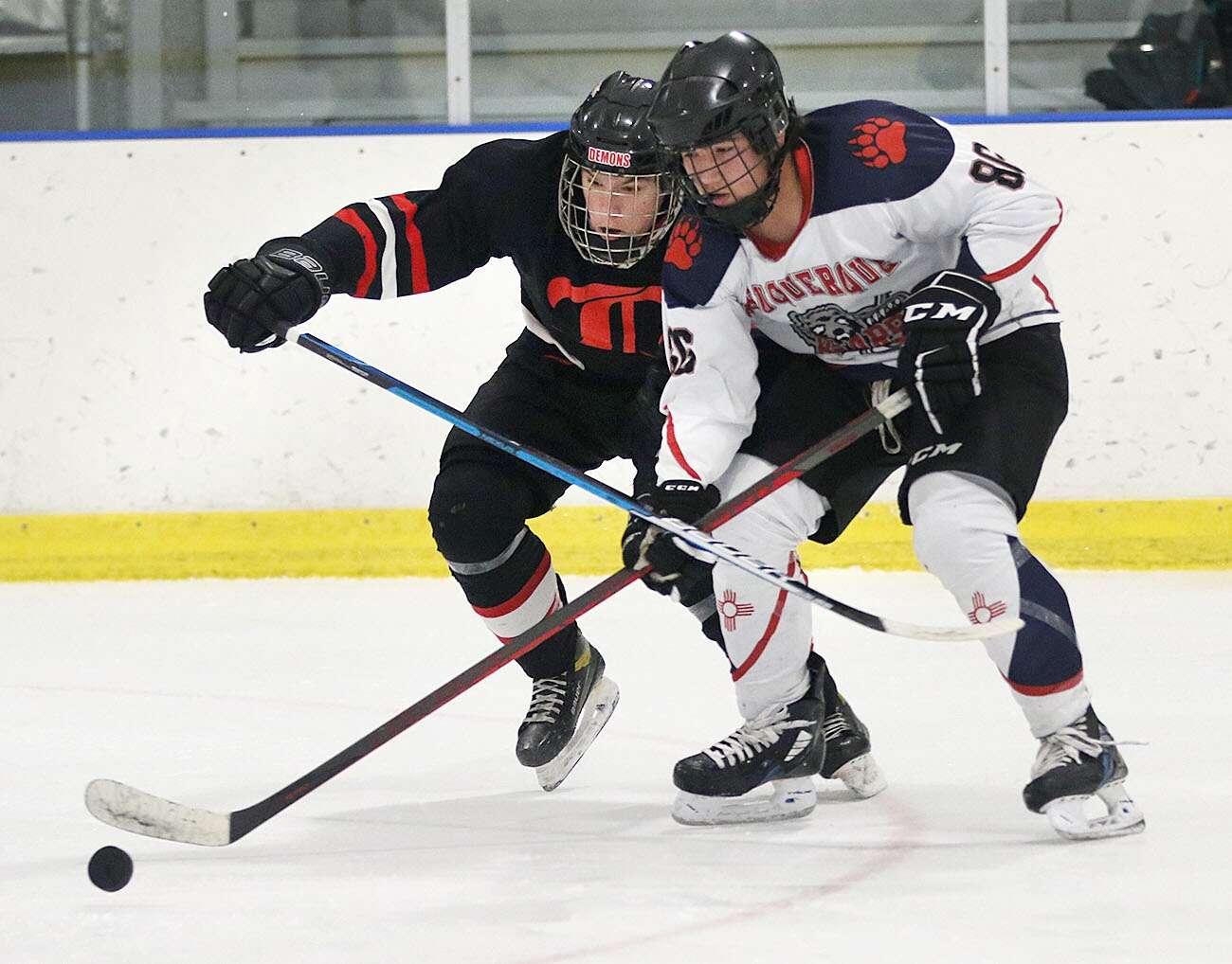 Catch a Hockey Game in Albuquerque